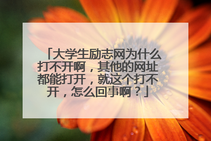 大学生励志网为什么打不开啊，其他的网址都能打开，就这个打不开，怎么回事啊？