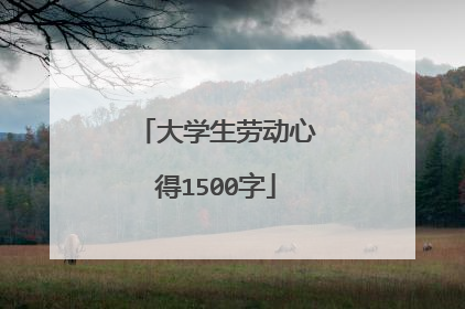 大学生劳动心得1500字