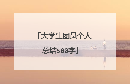 大学生团员个人总结500字