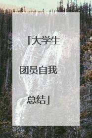 大学生团员自我总结