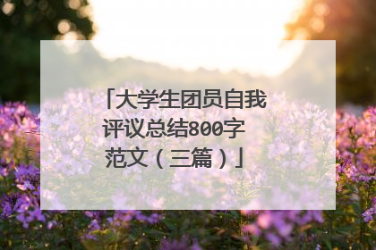 大学生团员自我评议总结800字范文(三篇)