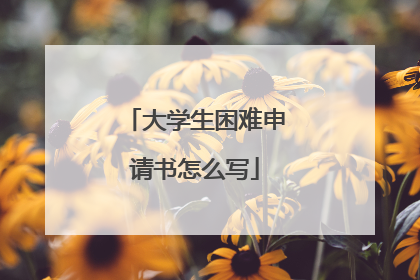 大学生困难申请书怎么写