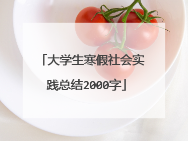 大学生寒假社会实践总结2000字