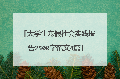 大学生寒假社会实践报告2500字范文4篇