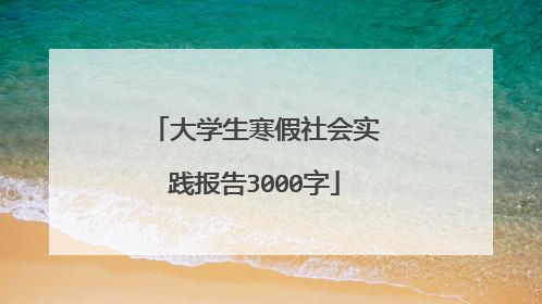 大学生寒假社会实践报告3000字