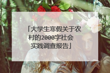 大学生寒假关于农村的2000字社会实践调查报告