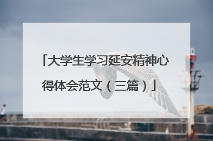 大学生学习延安精神心得体会范文（三篇）