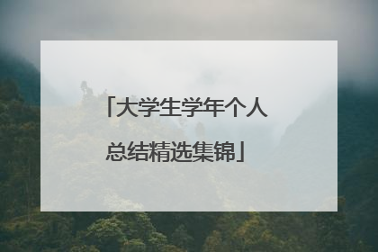 大学生学年个人总结精选集锦