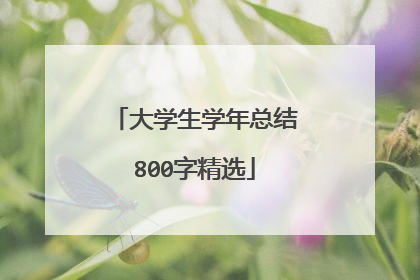 大学生学年总结800字精选