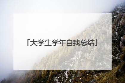 大学生学年自我总结