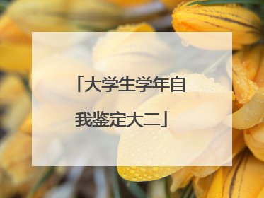 大学生学年自我鉴定大二
