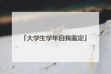 大学生学年自我鉴定