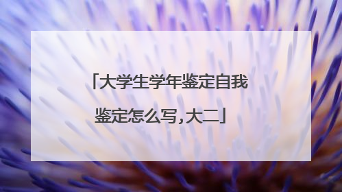 大学生学年鉴定自我鉴定怎么写,大二