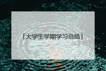 大学生学期学习总结