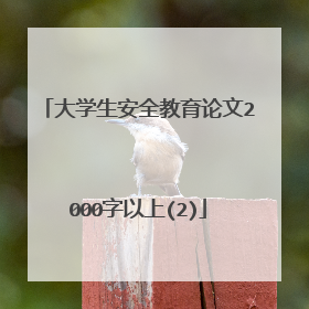 大学生安全教育论文2000字以上(2)