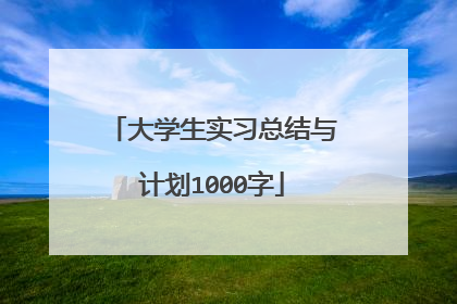 大学生实习总结与计划1000字