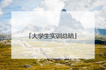 大学生实训总结
