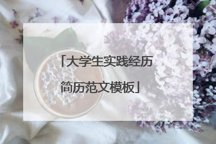 大学生实践经历简历范文模板