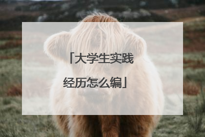 大学生实践经历怎么编