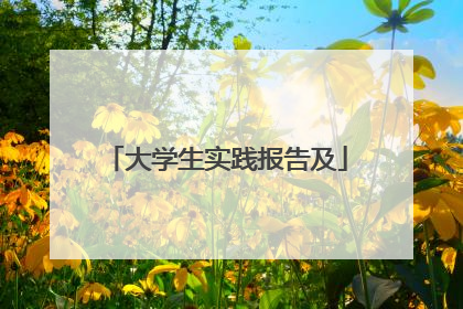 大学生实践报告及