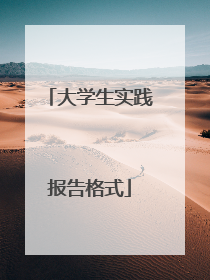 大学生实践报告格式