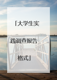 大学生实践调查报告格式