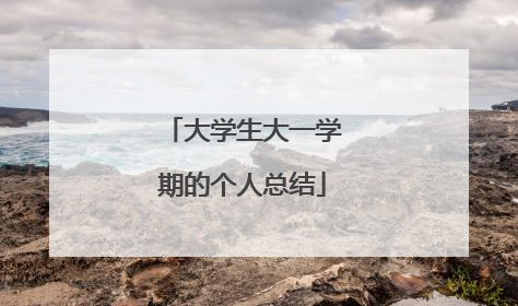大学生大一学期的个人总结