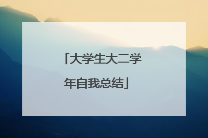 大学生大二学年自我总结