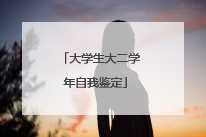 大学生大二学年自我鉴定
