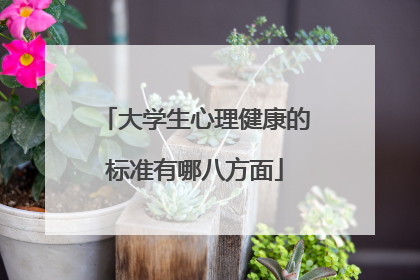 大学生心理健康的标准有哪八方面
