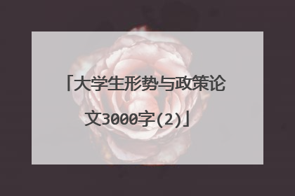 大学生形势与政策论文3000字(2)