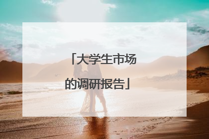 大学生市场的调研报告