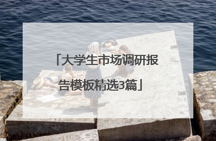 大学生市场调研报告模板精选3篇