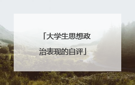 大学生思想政治表现的自评
