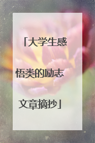 大学生感悟类的励志文章摘抄