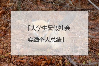 大学生暑假社会实践个人总结