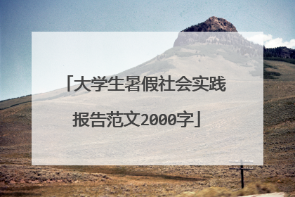 大学生暑假社会实践报告范文2000字