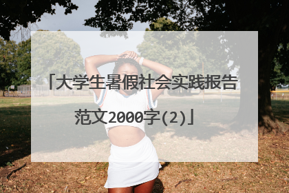 大学生暑假社会实践报告范文2000字(2)