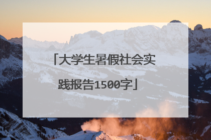 大学生暑假社会实践报告1500字
