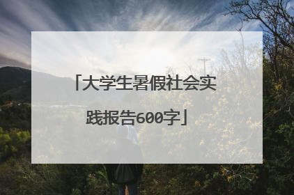 大学生暑假社会实践报告600字