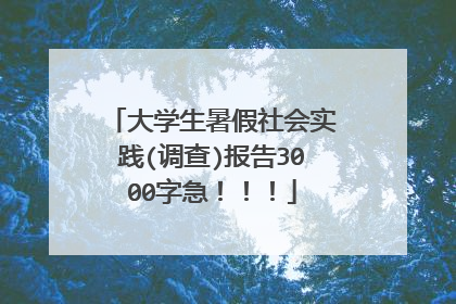 大学生暑假社会实践(调查)报告3000字急!!!