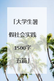 大学生暑假社会实践1500字五篇