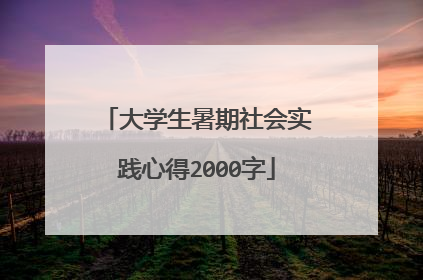 大学生暑期社会实践心得2000字