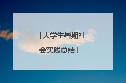 大学生暑期社会实践总结