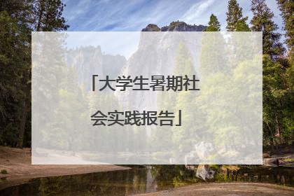 大学生暑期社会实践报告
