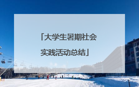 大学生暑期社会实践活动总结
