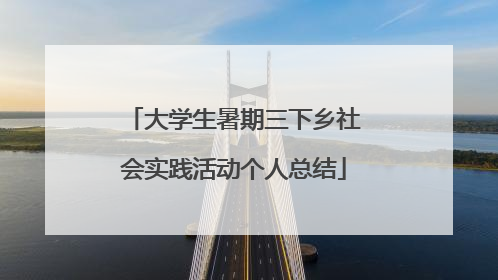 大学生暑期三下乡社会实践活动个人总结