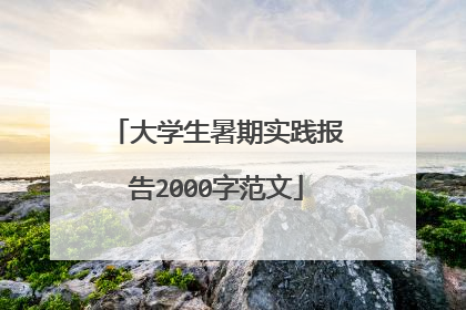 大学生暑期实践报告2000字范文