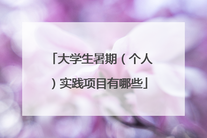 大学生暑期(个人)实践项目有哪些