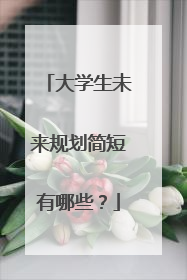 大学生未来规划简短有哪些?
